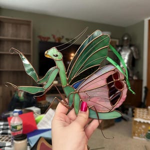 Kalli ha añadido una foto de su compra