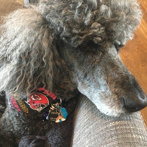 Debi added a photo of their purchase