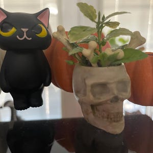 Deborah added a photo of their purchase