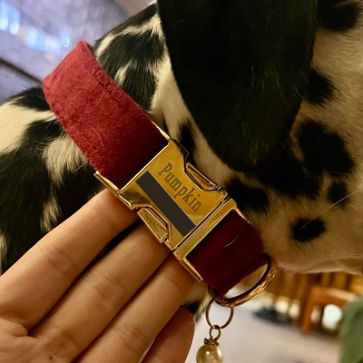 BNB Emerald Green Dog Bowtie