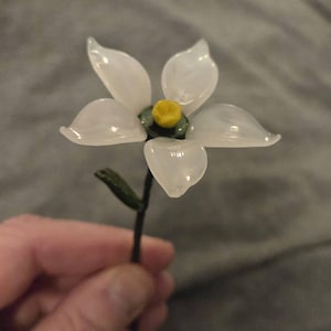 Jeff added a photo of their purchase