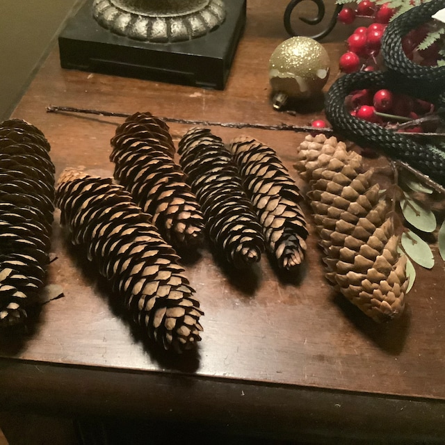 Pine Cones Dried Norway Spruce Pine Cones for Crafting, Decor, Weddings,  and More 