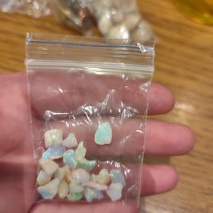 Isabella added a photo of their purchase
