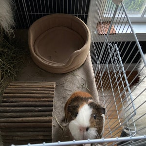 Maria added a photo of their purchase