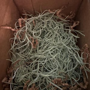 Kim heeft een foto van zijn/haar aankoop toegevoegd