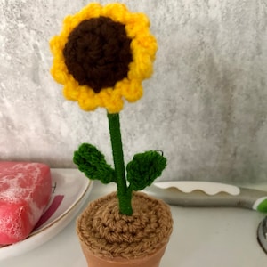 Judy added a photo of their purchase