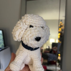 Ana added a photo of their purchase