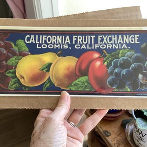 Original Vintage Fruit Crate Label California Fruits 1930s Scarce