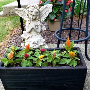 PEGGY added a photo of their purchase