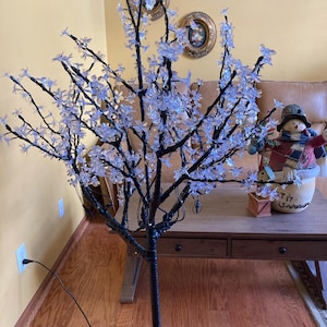 Patricia added a photo of their purchase