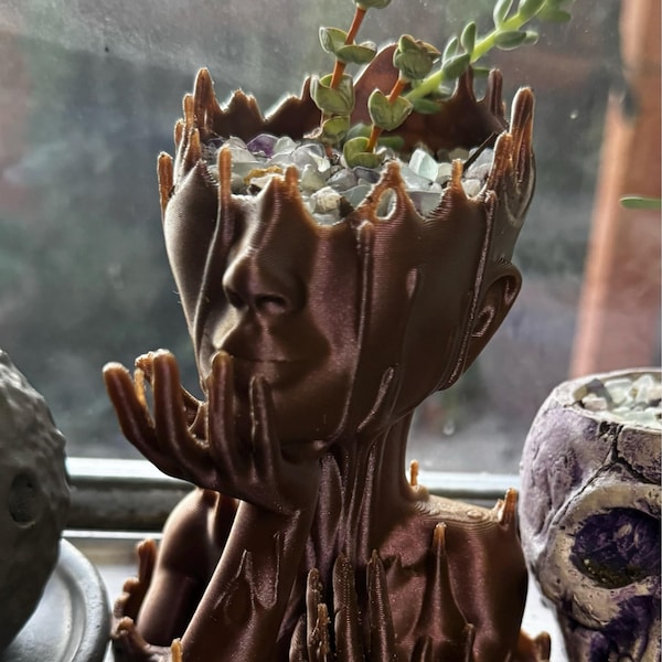 Eco Friendly Succulent Planters For Apartments Reference: The Davi Planter Pot Modern Planter Pot Large Planter Succulent