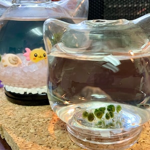 Grace added a photo of their purchase
