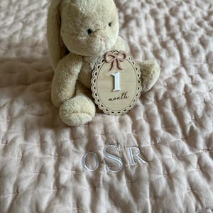 Strawberry Baby Name Sign | Newborn Birth Announcement Name Plaque | Arch Baby Arrival Hospital Sign | Newborn Footprint Plaque