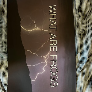 Mats added a photo of their purchase