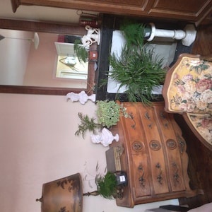 Erwan added a photo of their purchase