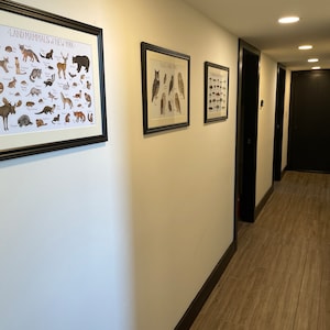 Ashley ha añadido una foto de su compra