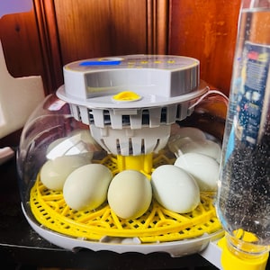 Norie added a photo of their purchase