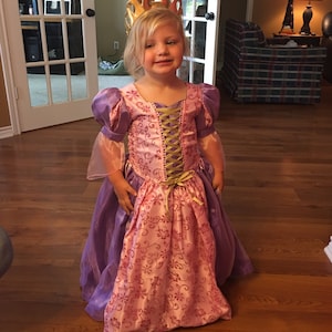 Sofia the First Birthday Theme Gown Dress | Sofia Dress | Sofia Birthday  Gown | Sofia Outfit | Sofia the First Party | Sofia Theme Dress - Etsy