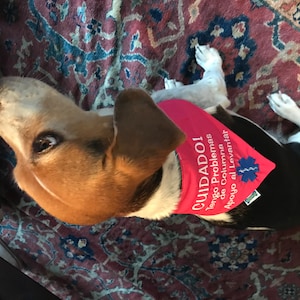 Sara-Mai added a photo of their purchase