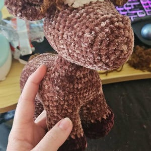 Ocean added a photo of their purchase