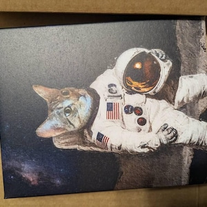 Heather added a photo of their purchase