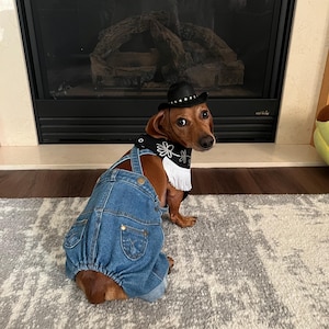 Rose a ajouté une photo de son achat