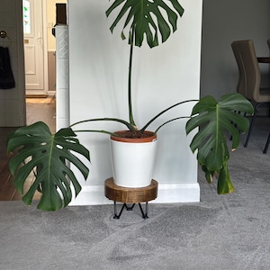Chris added a photo of their purchase