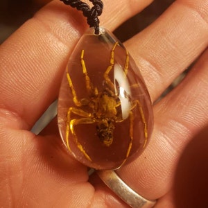 Billie-Sue added a photo of their purchase