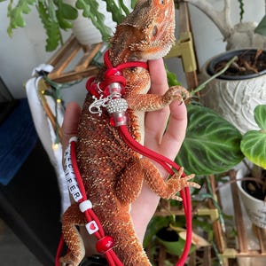 Holly added a photo of their purchase