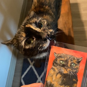 Kathryn added a photo of their purchase