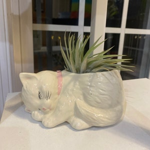 Jean added a photo of their purchase