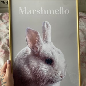 Elise added a photo of their purchase