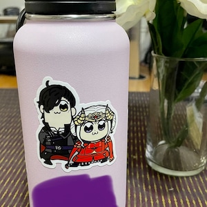 calytrix ha añadido una foto de su compra