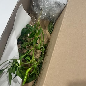 Sals added a photo of their purchase