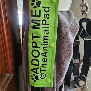 Rachel added a photo of their purchase