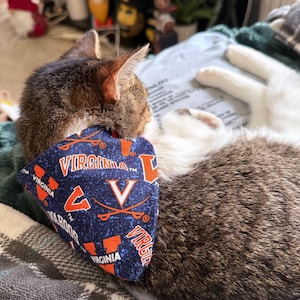 Amanda added a photo of their purchase
