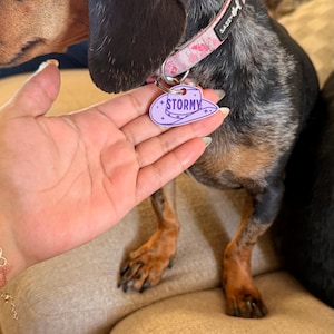Fernanda added a photo of their purchase