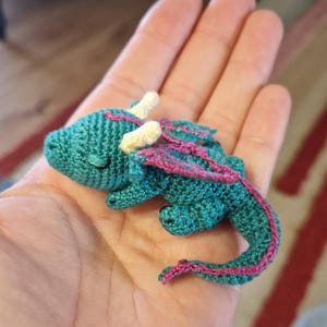Sally added a photo of their purchase