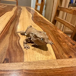 Amy added a photo of their purchase