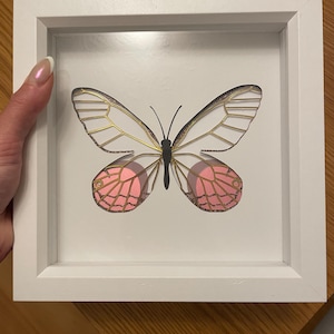 Robyn a ajouté une photo de son achat