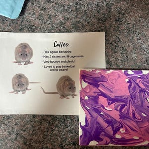 Emily ha aggiunto una foto del proprio acquisto