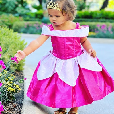 Sleeping Beauty Dress / Inspired Disney Princess Dress Aurora Costume ...