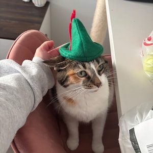 Kendall adicionaram uma foto da sua compra