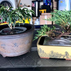 Lisa added a photo of their purchase