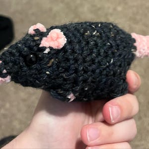 Meghan added a photo of their purchase