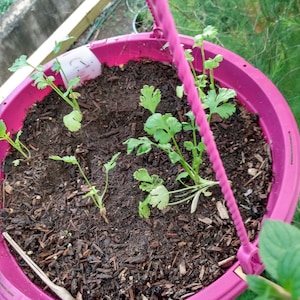 Spider ha añadido una foto de su compra