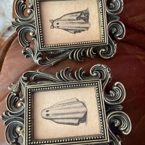 stephanie a ajouté une photo de son achat