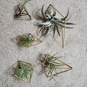 Tina added a photo of their purchase