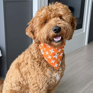 Samantha added a photo of their purchase