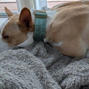 Alex ha añadido una foto de su compra